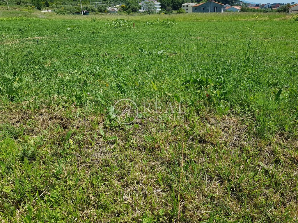 Image 6152899 - 3