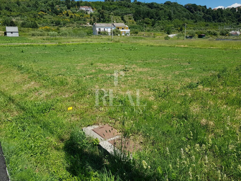 Image 6152899 - 1