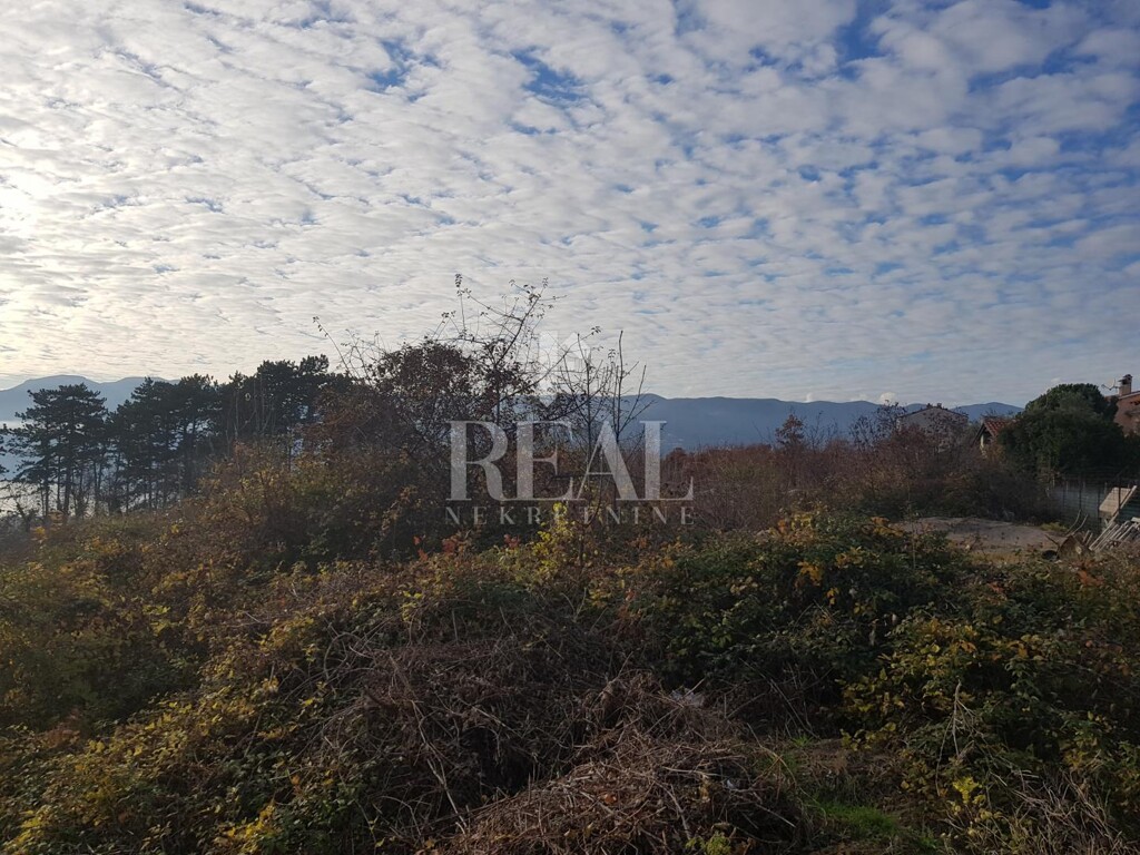 Image 6152915 - 3