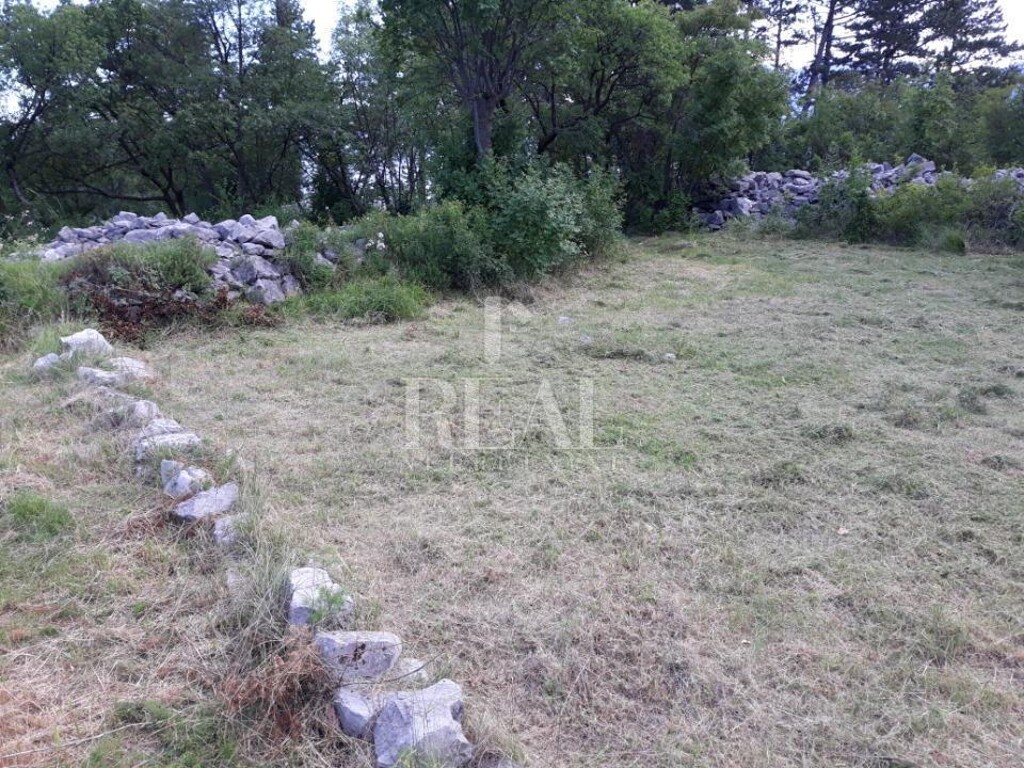 Image 6152915 - 2