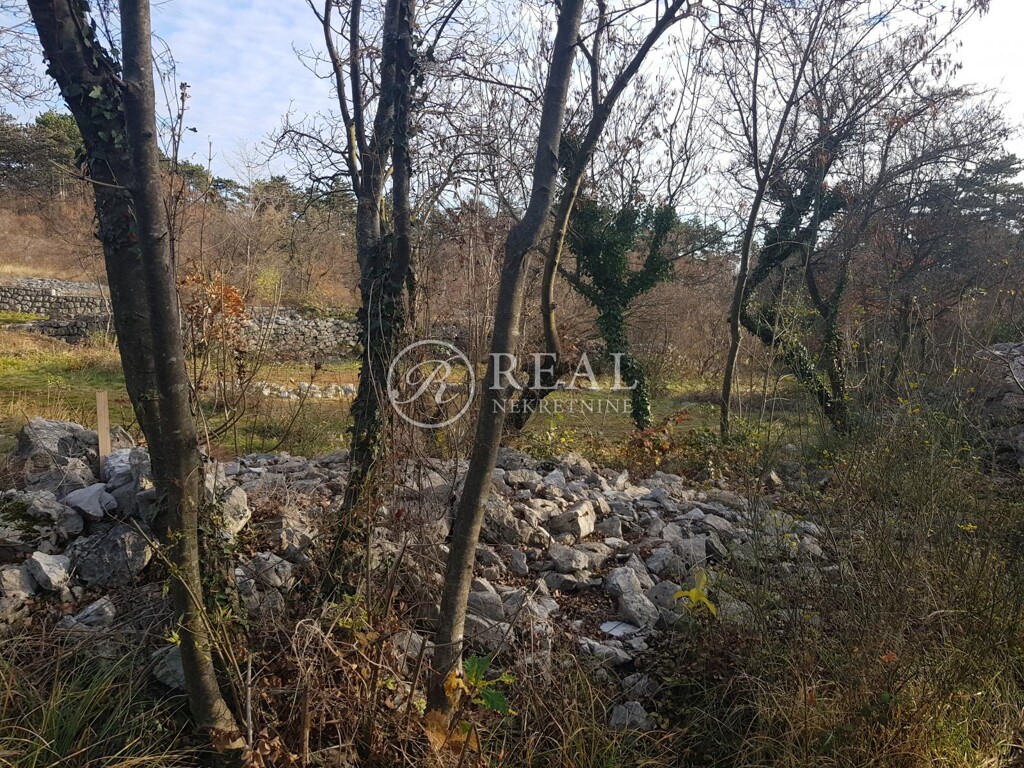 Image 6152915 - 5