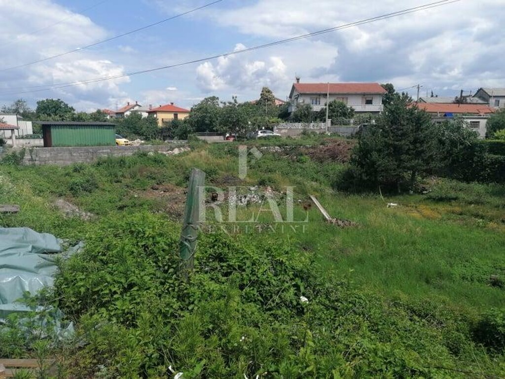 Image 6152935 - 2