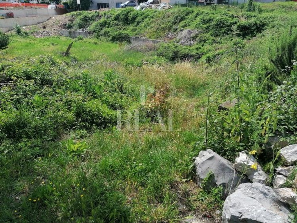 Image 6152935 - 1