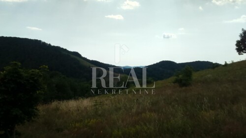 Thumbnail 6152943 - 7