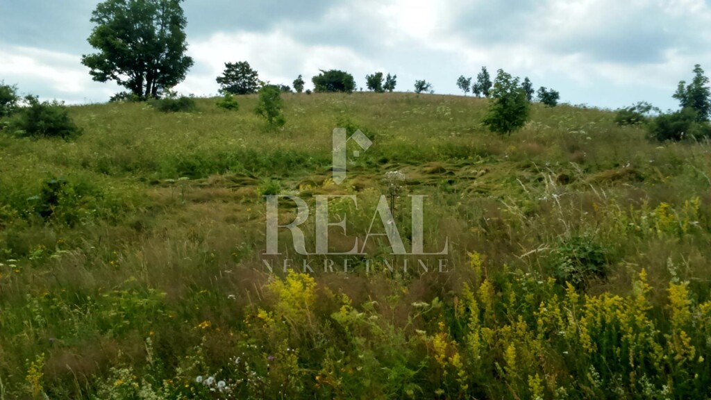 Image 6152943 - 1