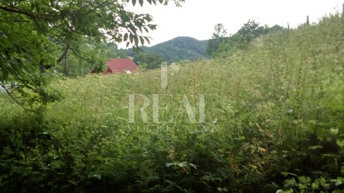 Thumbnail 6152943 - 12