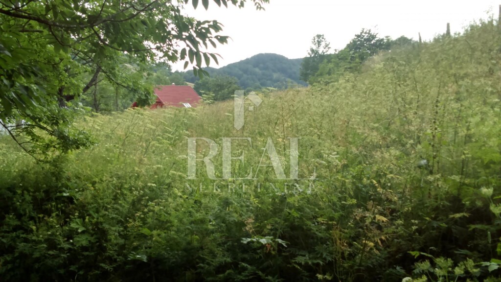 Image 6152943 - 12