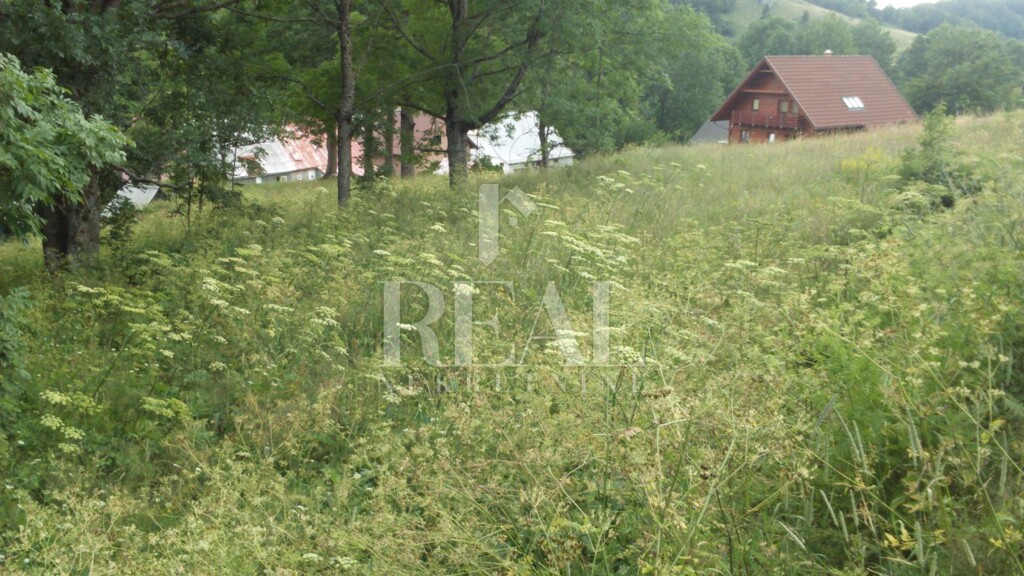 Image 6152943 - 10