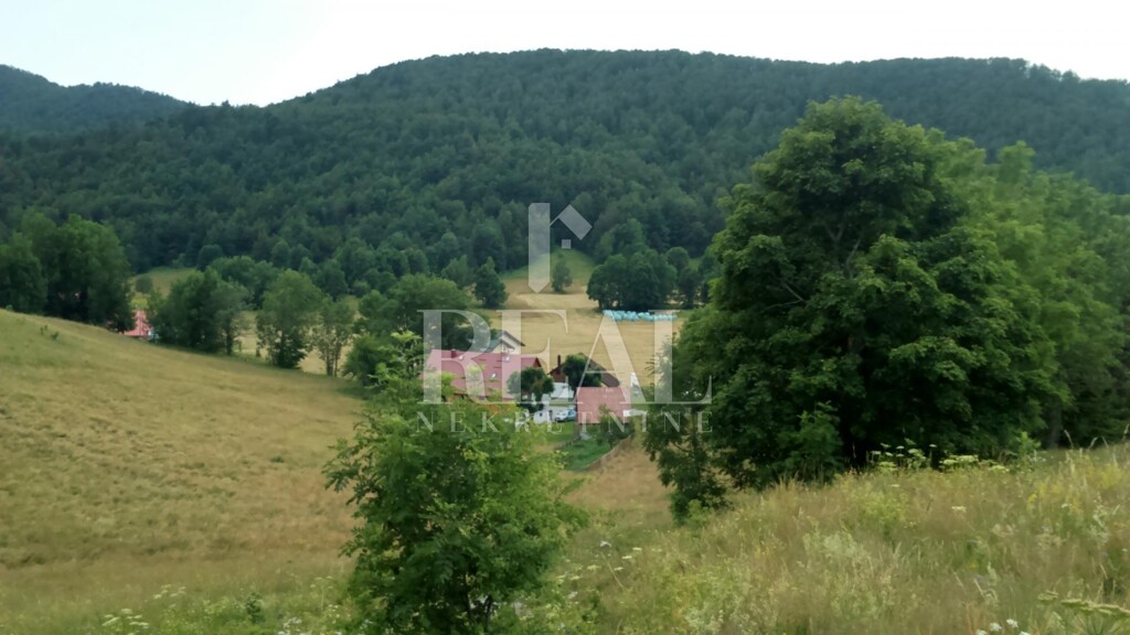 Image 6152943 - 3
