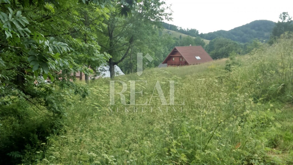 Image 6152943 - 9