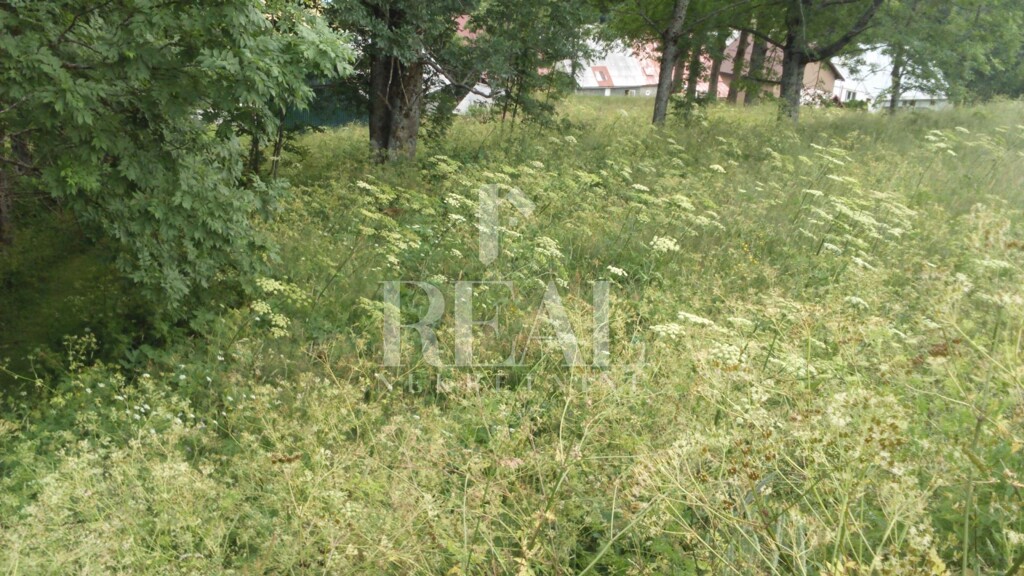 Image 6152943 - 11
