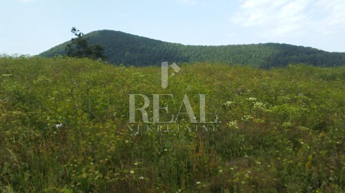 Thumbnail 6152943 - 5