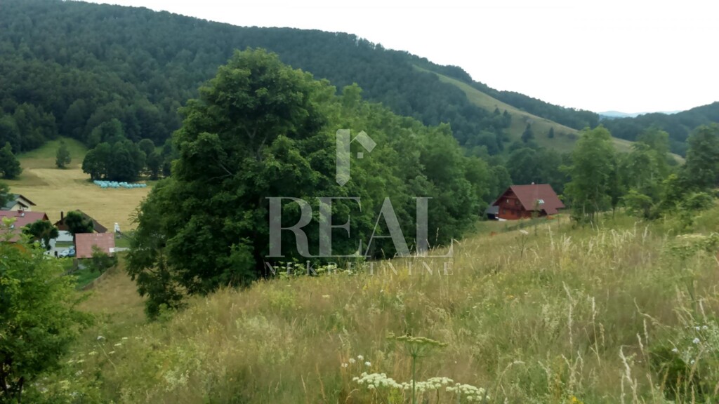 Image 6152943 - 4