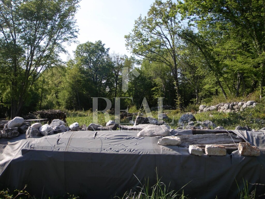 Image 6152988 - 5