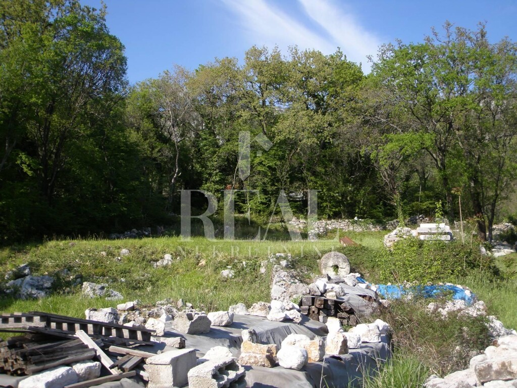 Image 6152988 - 4