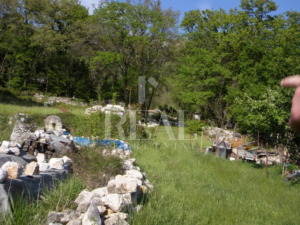 Image 6152988 - 3