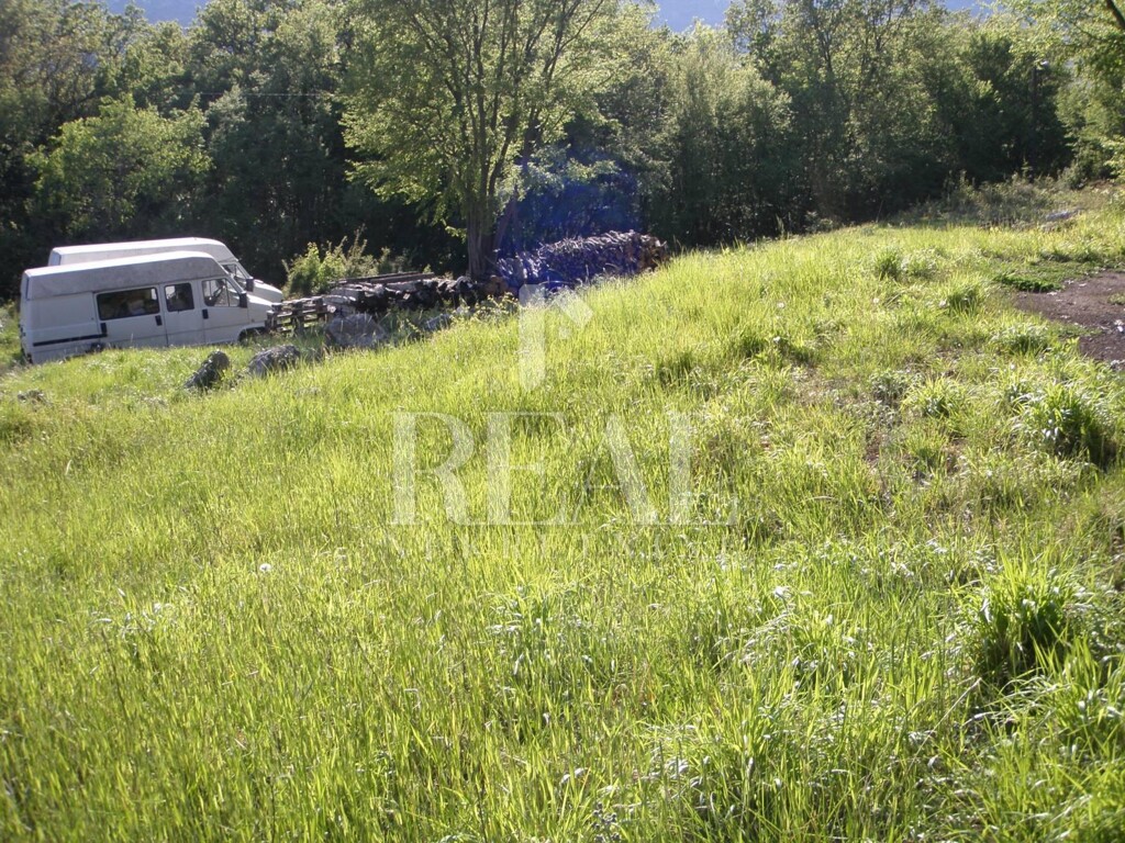 Image 6152988 - 9