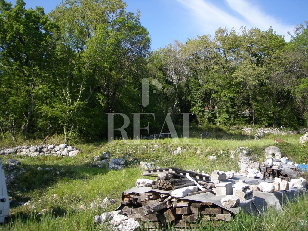 Image 6152988 - 1