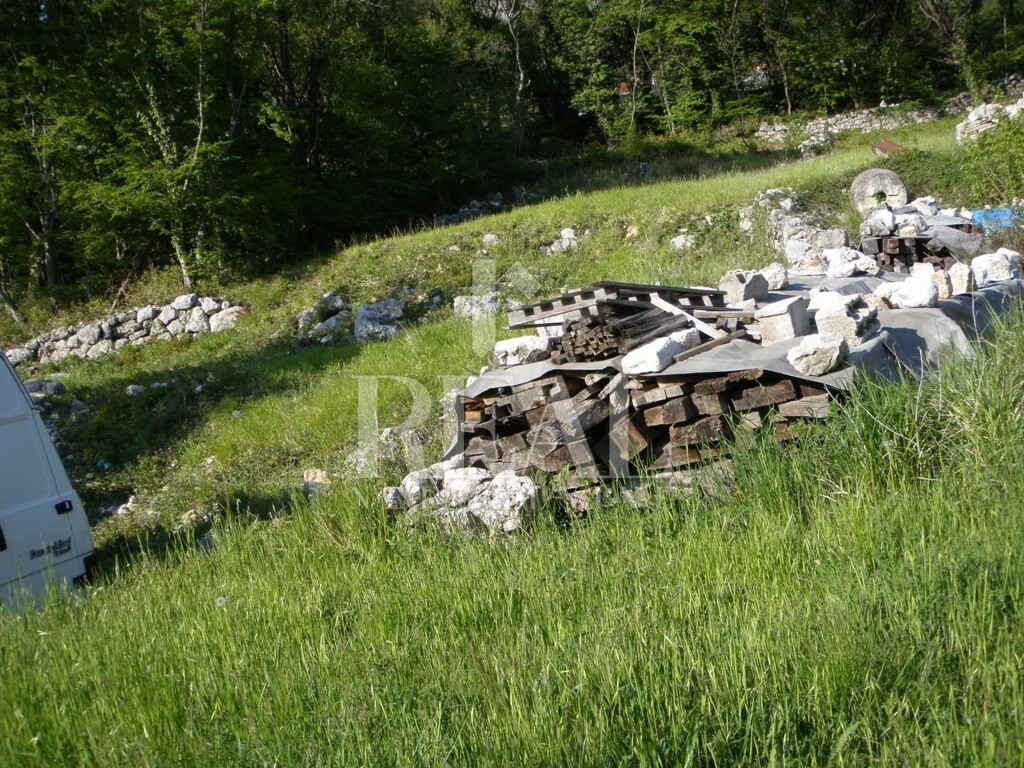 Image 6152988 - 2