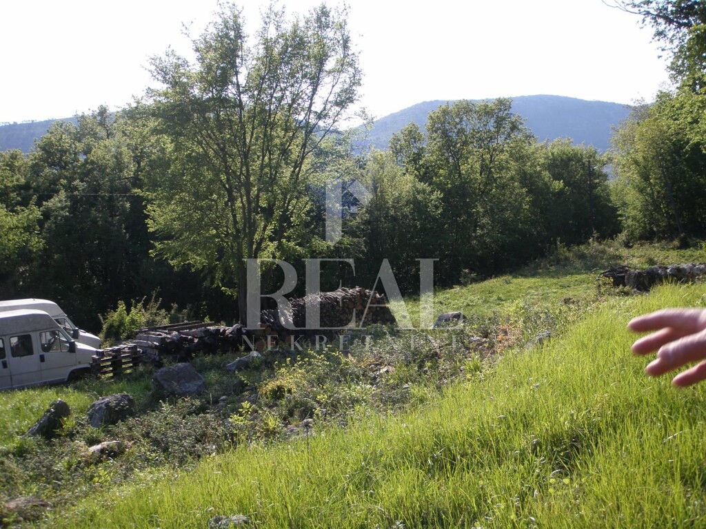 Image 6152988 - 10