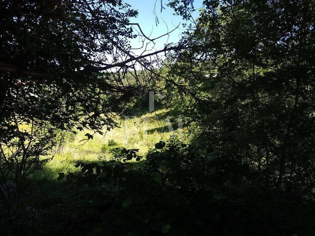Image 6153007 - 6