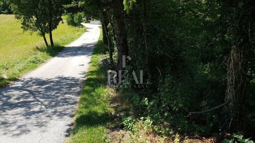 Thumbnail 6153007 - 3