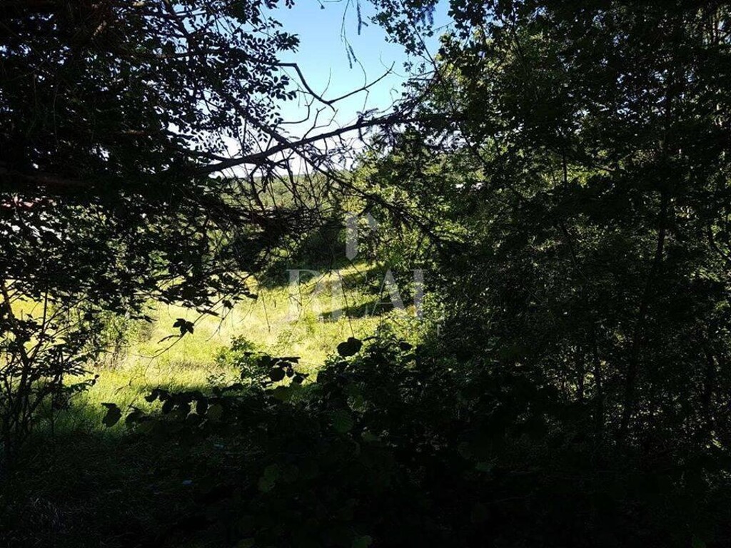 Image 6153007 - 1