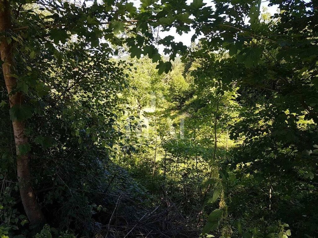 Image 6153007 - 4