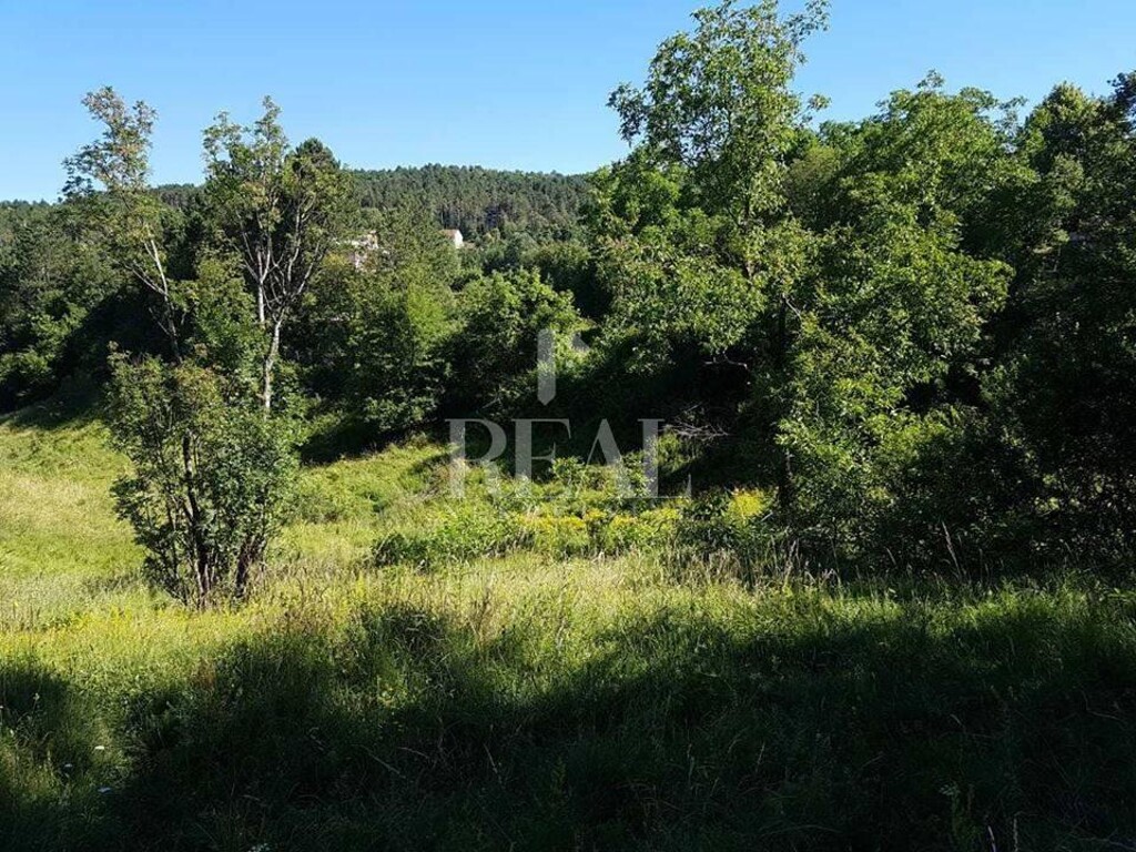 Image 6153007 - 5