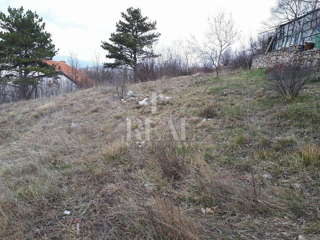 Image 6153018 - 1