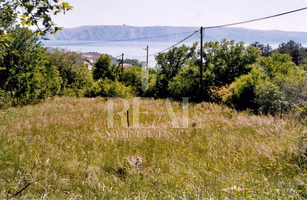 Image 6153020 - 2