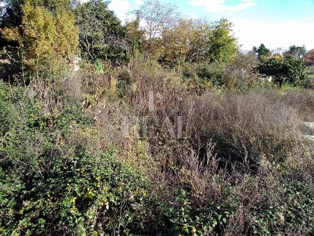 Image 6153026 - 2