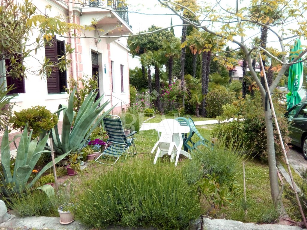 Image 6153049 - 2