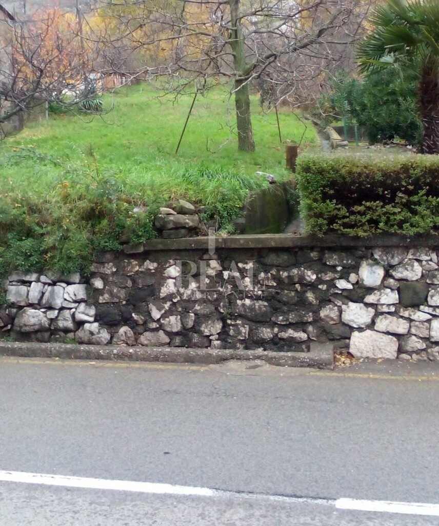 Image 6153052 - 3
