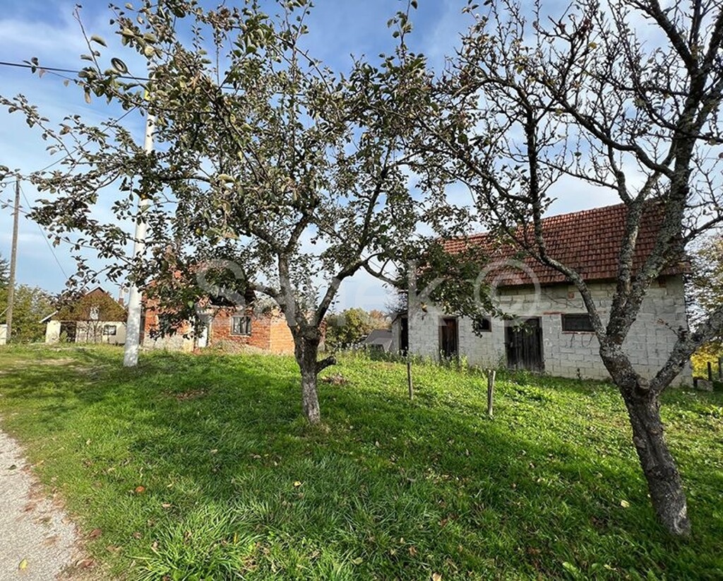 Image 6153387 - 3