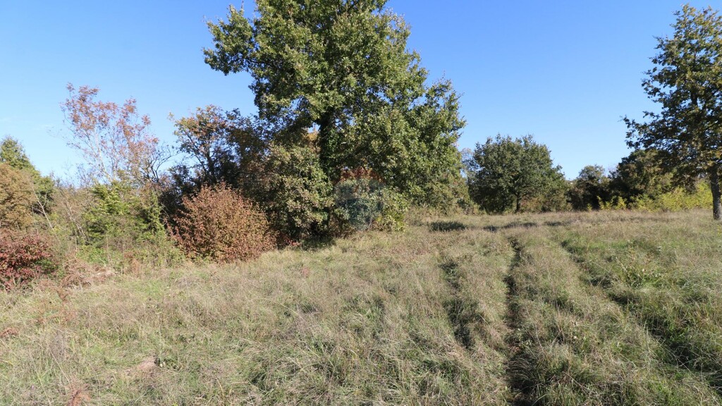 Image 6153670 - 4