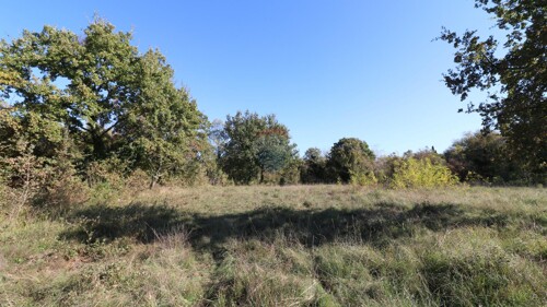 Thumbnail 6153670 - 1