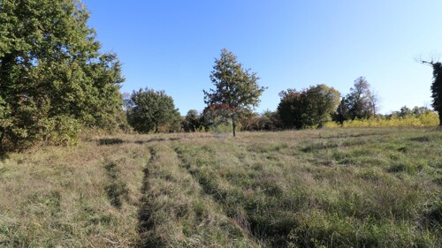 Thumbnail 6153670 - 3