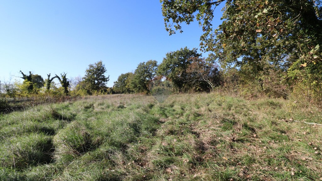 Image 6153671 - 4