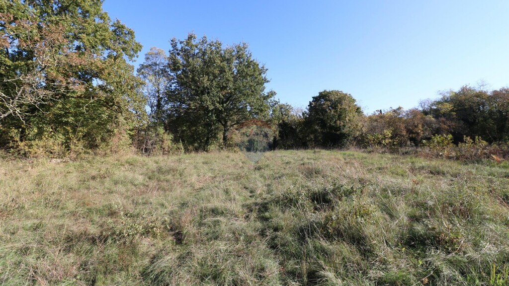 Image 6153671 - 3
