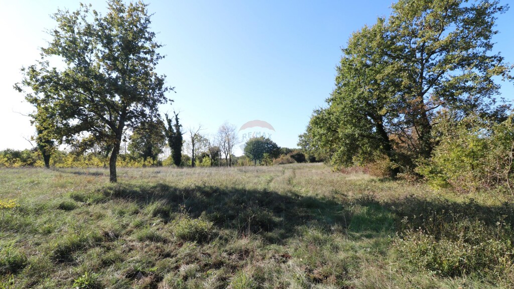 Image 6153671 - 2