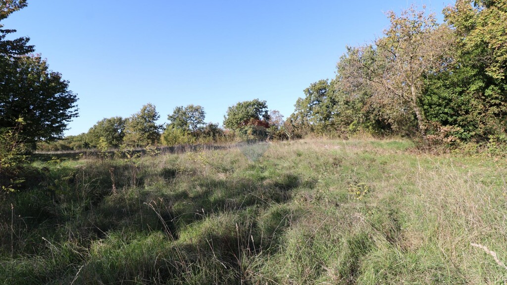 Image 6153674 - 2
