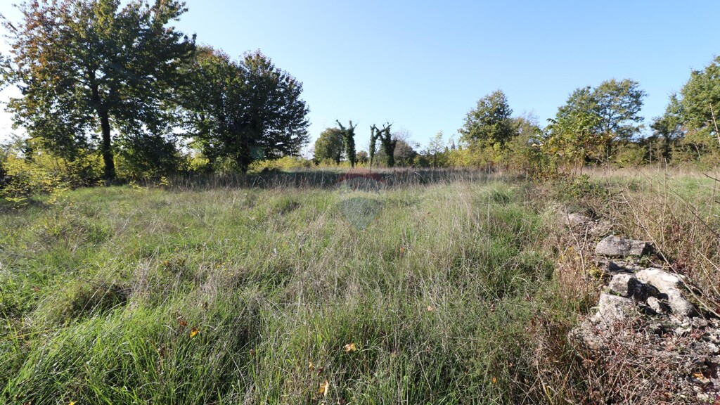 Image 6153674 - 1