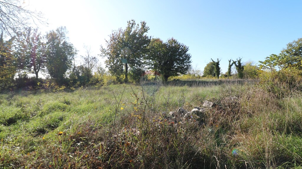 Image 6153674 - 3