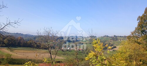 Thumbnail 6153678 - 5