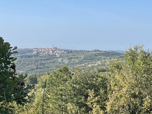 BUJE OKOLICA, ZEMLJIŠTE SA NAJLJEPŠIM POGLEDOM!