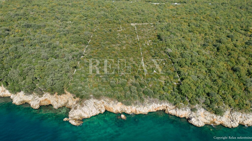 Image 6154355 - 2