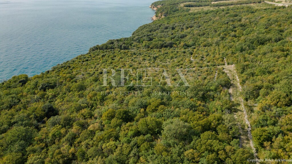 Image 6154355 - 3