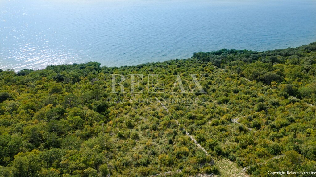 Image 6154355 - 8