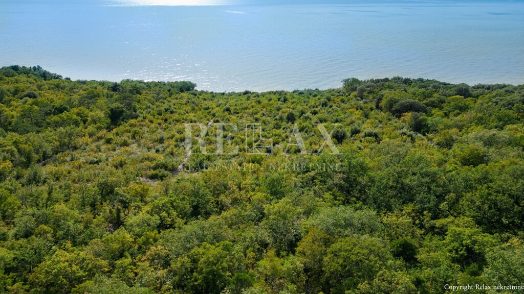 Image 6154355 - 7